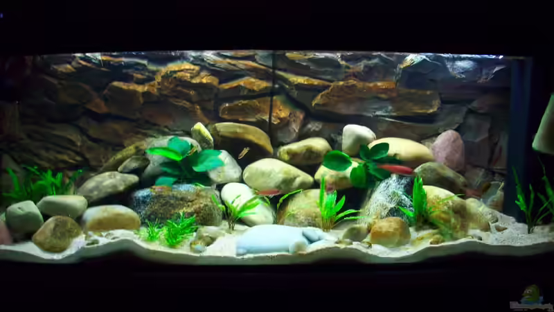 375 l Tanganjika 375 l Tanganjika