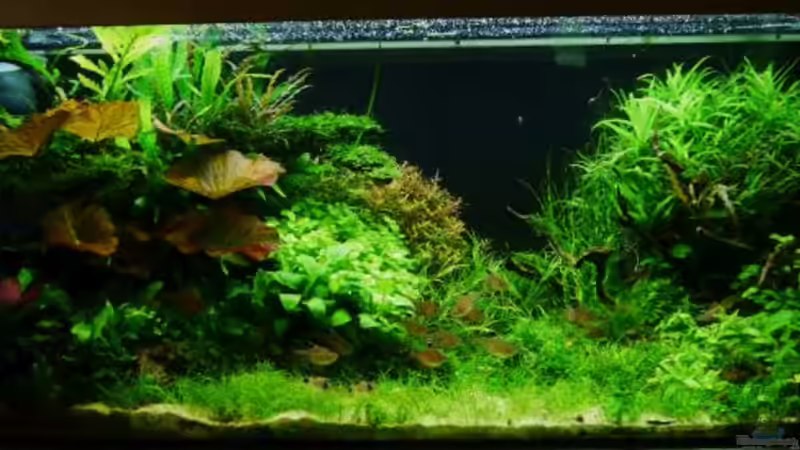 4. Januar 2015 4. Januar 2015