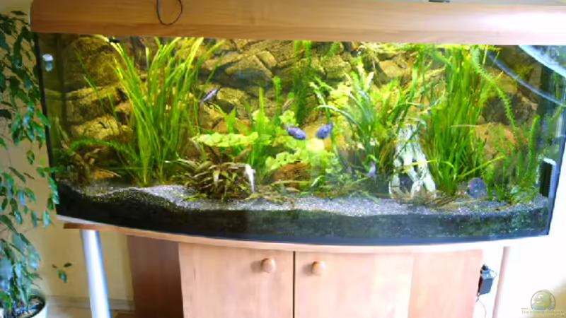 450 Liter Geselschaftsbecken 450 Liter Geselschaftsbecken