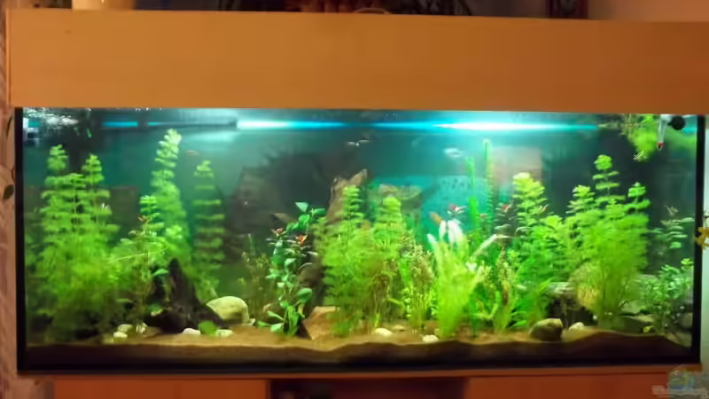 450 ltr becken 450 ltr becken