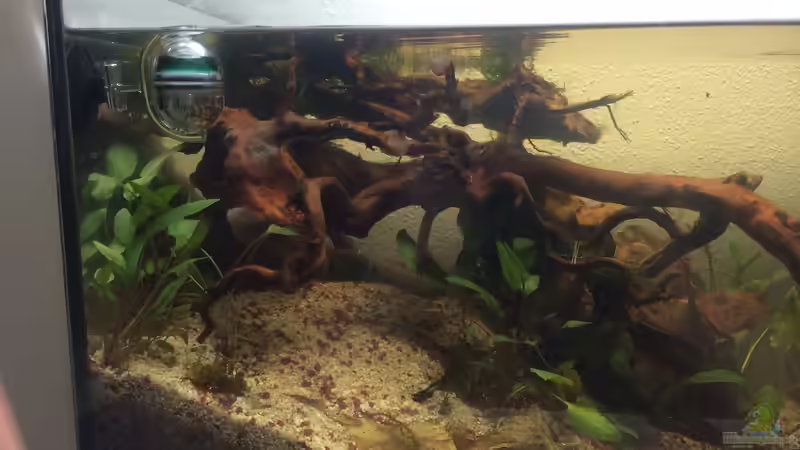 5.08.2015 Hauptansicht 5.08.2015 Hauptansicht