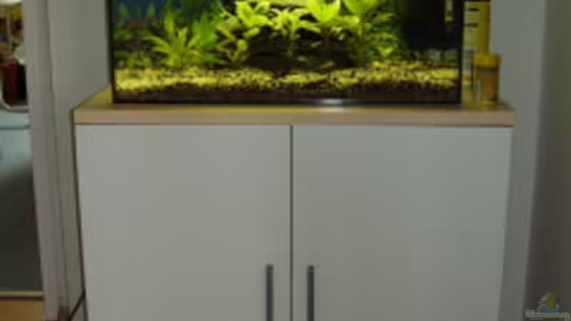 50l Zuchtbecken 50l Zuchtbecken