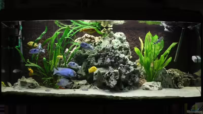 576L Malawi 576L Malawi