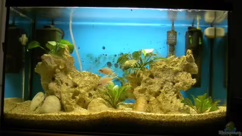 60er Becken im Schlafzimmer 60er Becken im Schlafzimmer