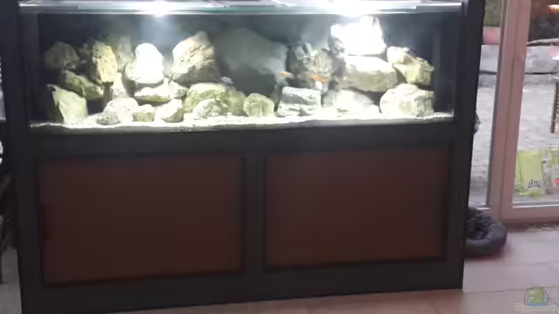 720 Liter Mbuna Becken 200x60x60 720 Liter Mbuna Becken 200x60x60