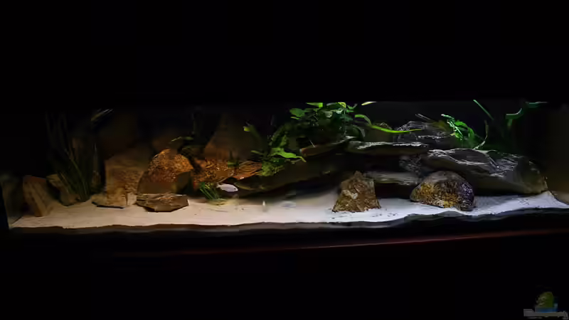 720L Victoria Becken 720L Victoria Becken