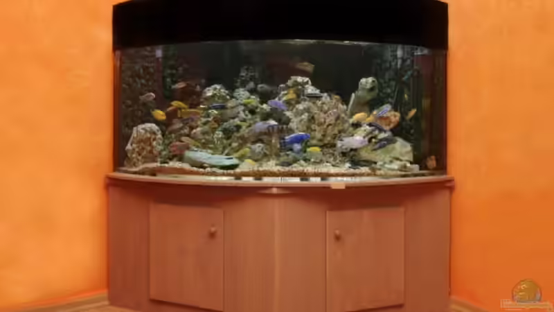 800l tief 125 Höhe 70 800l tief 125 Höhe 70