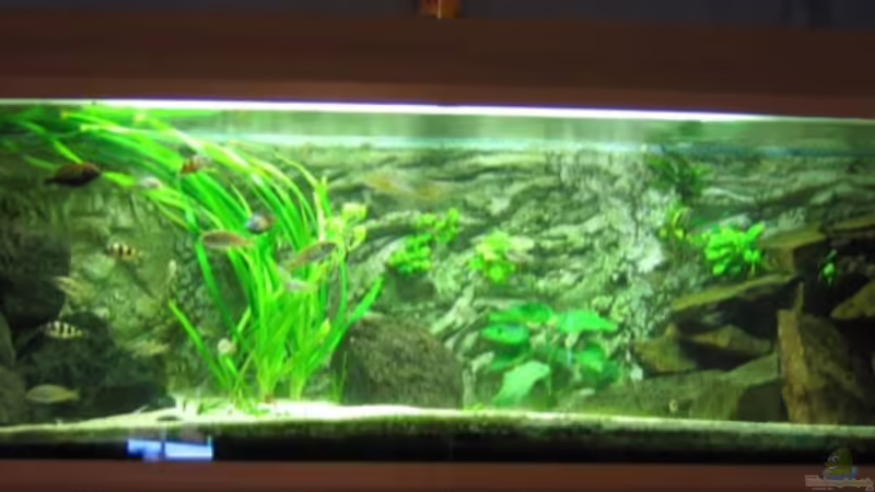 900Liter Viktoria 900Liter Viktoria