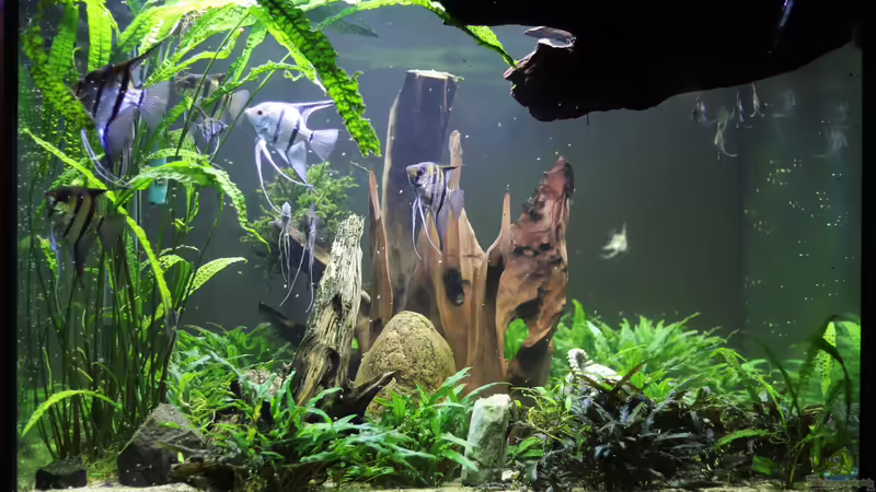 Aktualisierung 12.19 Südamerika Aktualisierung 12.19 Südamerika