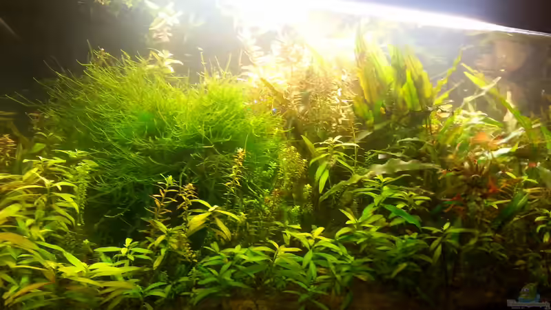 aktuel 12/2013 aktuel 12/2013