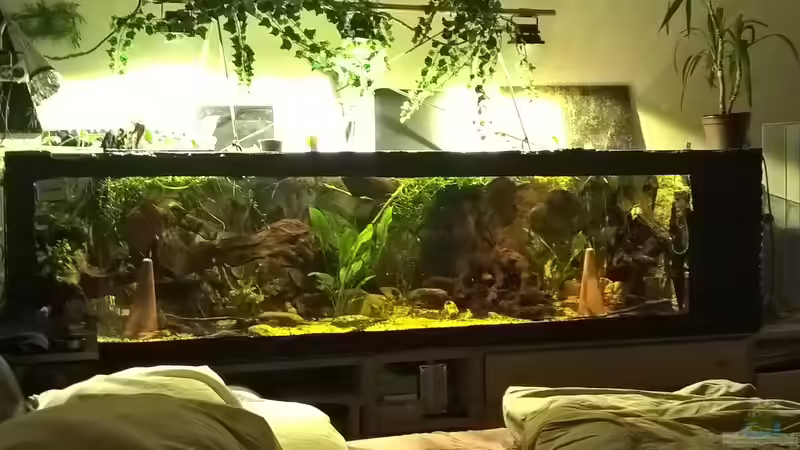 Aktuele - Hauptansicht - 900 l - 2,50 m x 0,60 m X 0,60 m Aktuele - Hauptansicht - 900 l - 2,50 m x 0,60 m X 0,60 m