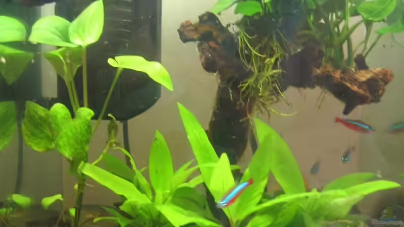 Aktuell 05.08.09 Aktuell 05.08.09