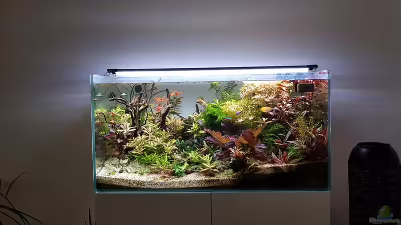 Aktuell 10.02.2019 Aktuell 10.02.2019