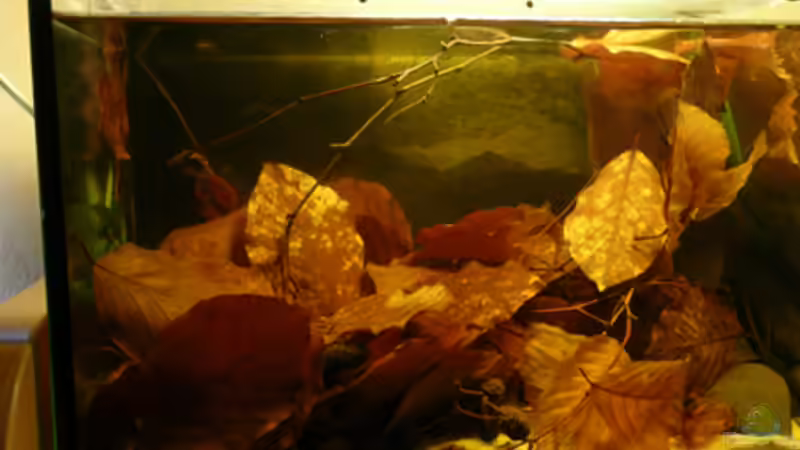 Aktuell´,11.03,10 Aktuell´,11.03,10