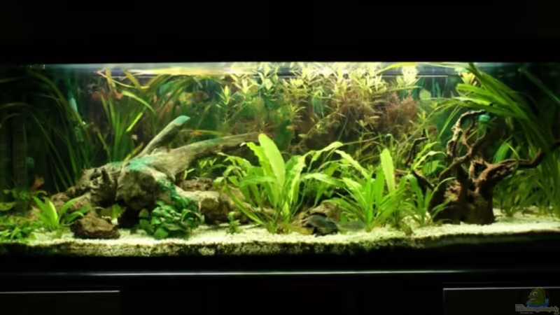 aktuell 16.09.2010 aktuell 16.09.2010