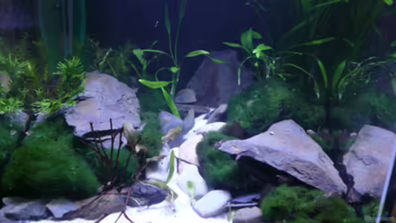 Aktuell,21.03.10 Aktuell,21.03.10