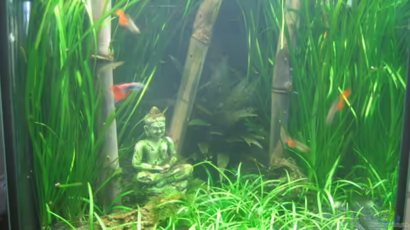 aktuell Juli 09 aktuell Juli 09