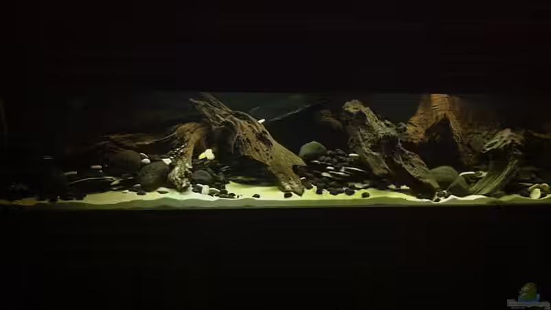 Aktuelle Ansicht 8.2.2012 Aktuelle Ansicht 8.2.2012