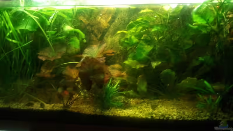 aktuelle ansicht nach 3 jahren aktuelle ansicht nach 3 jahren