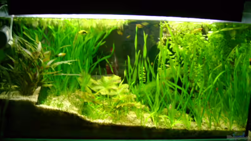 aktuelle Ansicht aktuelle Ansicht