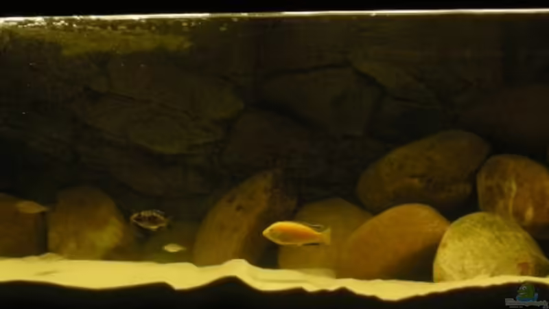 Aktuelle Einrichtung und Besatz Aktuelle Einrichtung und Besatz