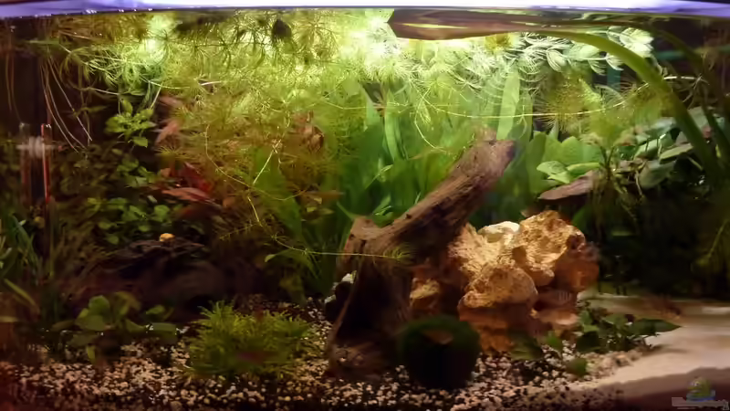 Aktuelle Einrichtung Aktuelle Einrichtung