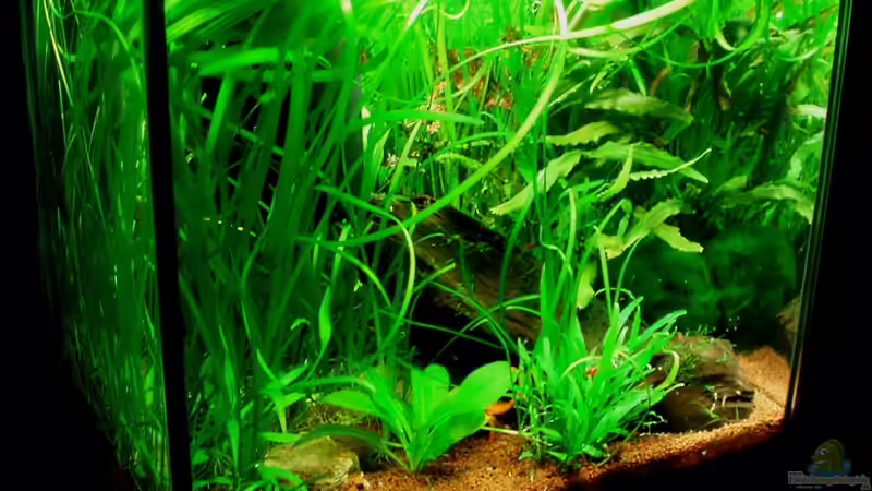 aktuelle Frontansicht 07.01.11 aktuelle Frontansicht 07.01.11