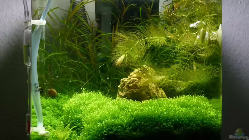 Aktueller Stand 21.11.10 Aktueller Stand 21.11.10