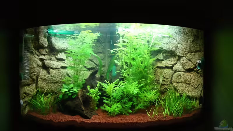 aktueller Stand (31.07.2008) aktueller Stand (31.07.2008)