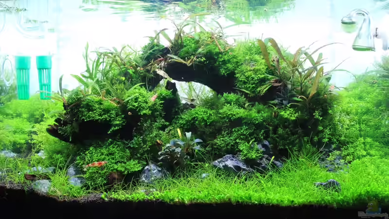 aktueller Stand aktueller Stand