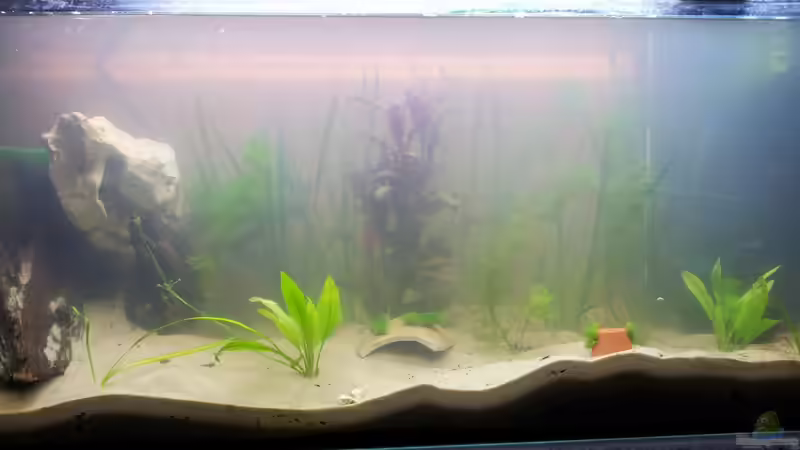 Aktueller Stand Aktueller Stand