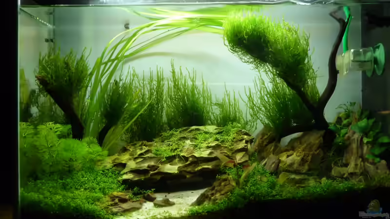 Aktueller Stand Aktueller Stand