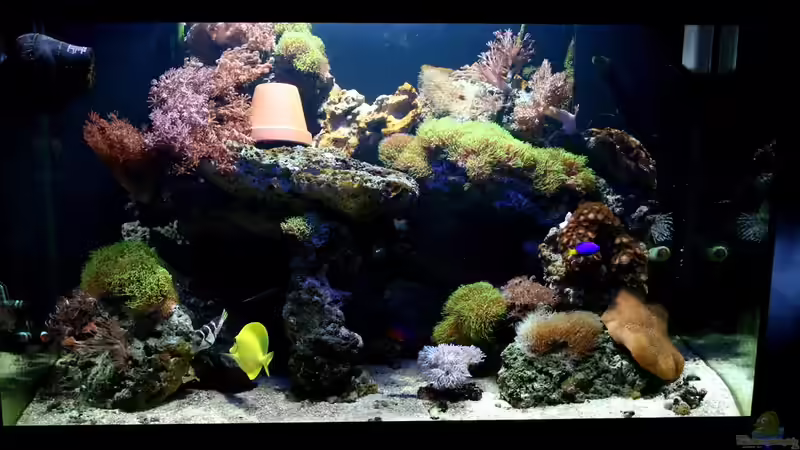 aktuelles bild 23.11.2009 aktuelles bild 23.11.2009