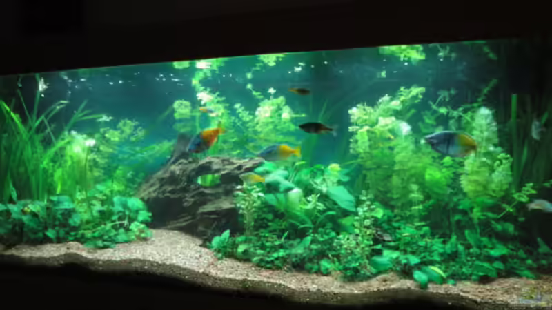 aktuelles Bild aktuelles Bild