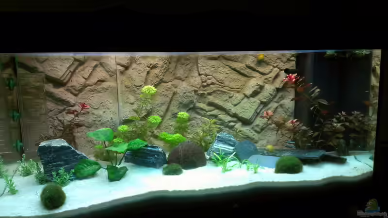 aktuelles Bild aktuelles Bild