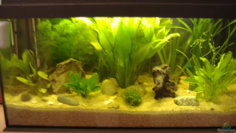 aktuelles Bild aktuelles Bild