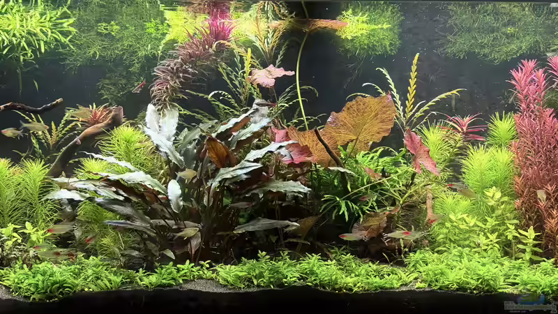 Aktuelles Bild Aktuelles Bild