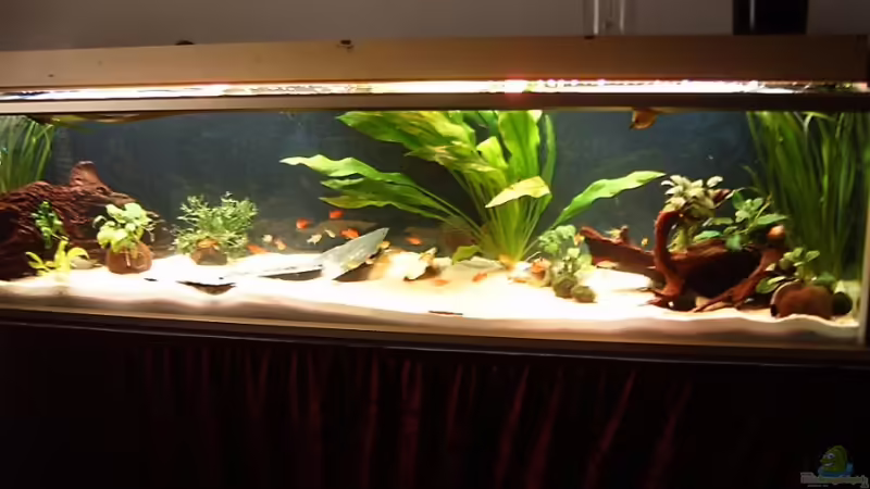 aktuelles Foto aktuelles Foto