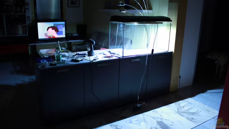 aller Anfang... aller Anfang...