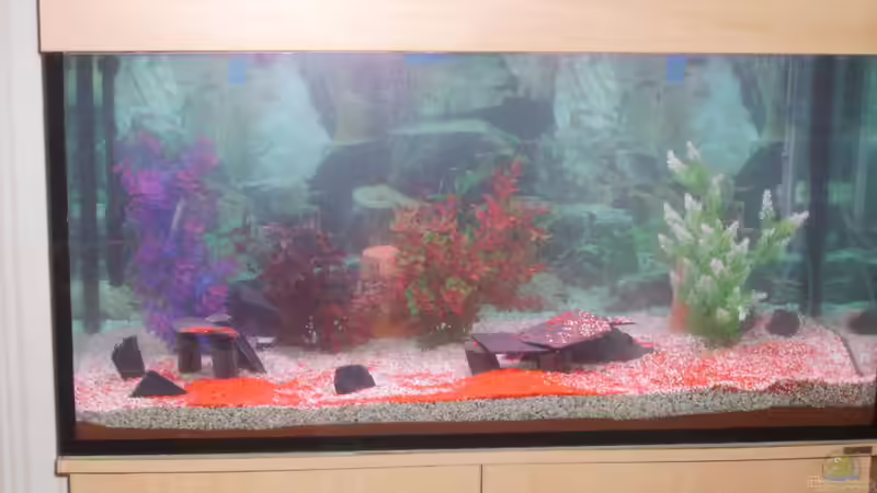 aller Anfang ist schwer aller Anfang ist schwer