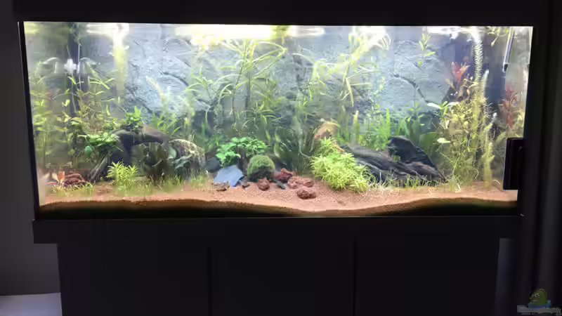 Alles wird irgendwann gut ;) Alles wird irgendwann gut ;)