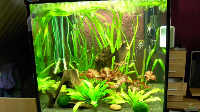 Altes Beispiel Altes Beispiel