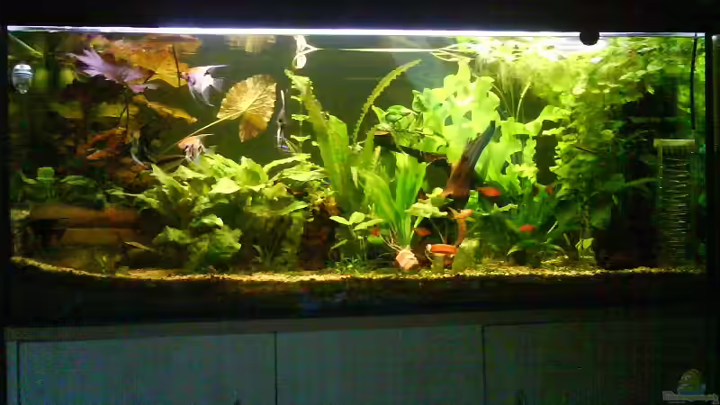 Am 24.4.09 !!!! Am 24.4.09 !!!!