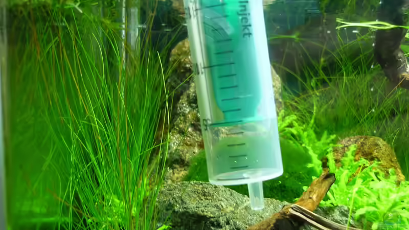 Ammonium - Nitrit - Nitrat