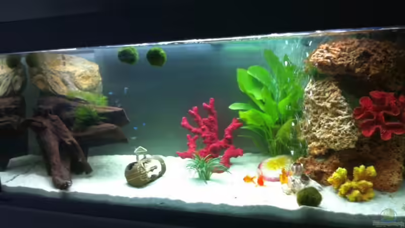 Anfänger MP240l Anfänger MP240l