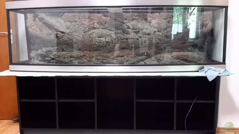 angekommen angekommen