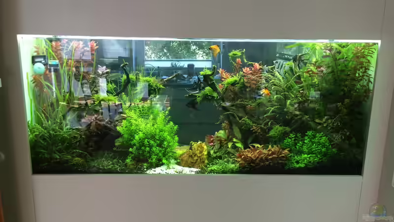 Ansicht aus dem wohnzimmer Ansicht aus dem wohnzimmer