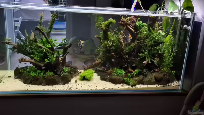 Ansicht Esszimmer 27.05.21 Ansicht Esszimmer 27.05.21