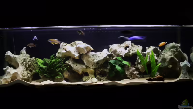 Ansicht von vorne Ansicht von vorne