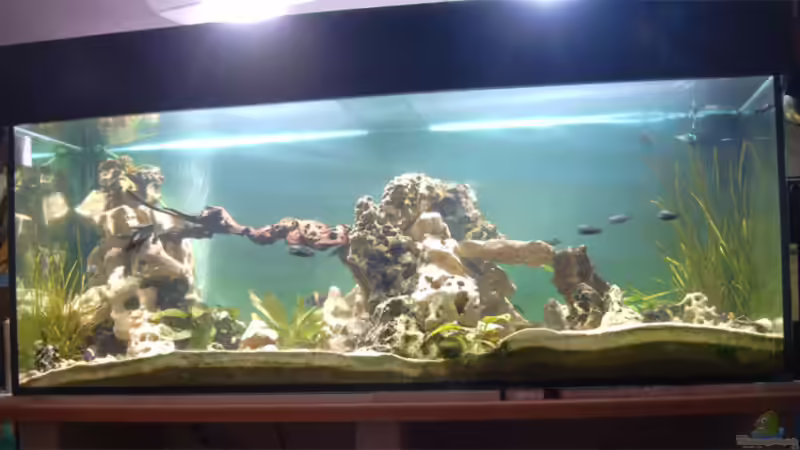 Ansicht von vorne Ansicht von vorne